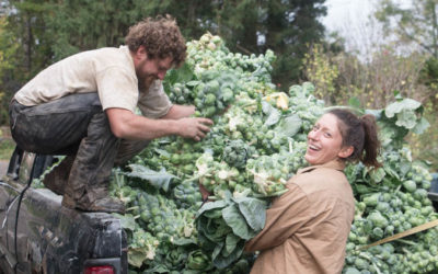 Why Fall is the Best Time to Join a CSA!