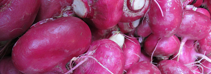 Pink Turnips