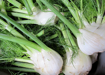 Getting Started with the Fennel in Your CSA Share.