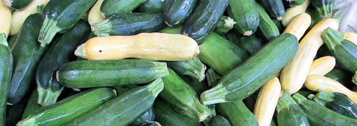 10 Great Recipes for Summer Squash & Zucchini
